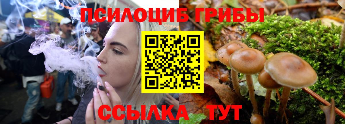 Галлюциногенные грибы мухоморы  Псилоцибиновые грибы Psilocybe  Вход с VPN  Урай 