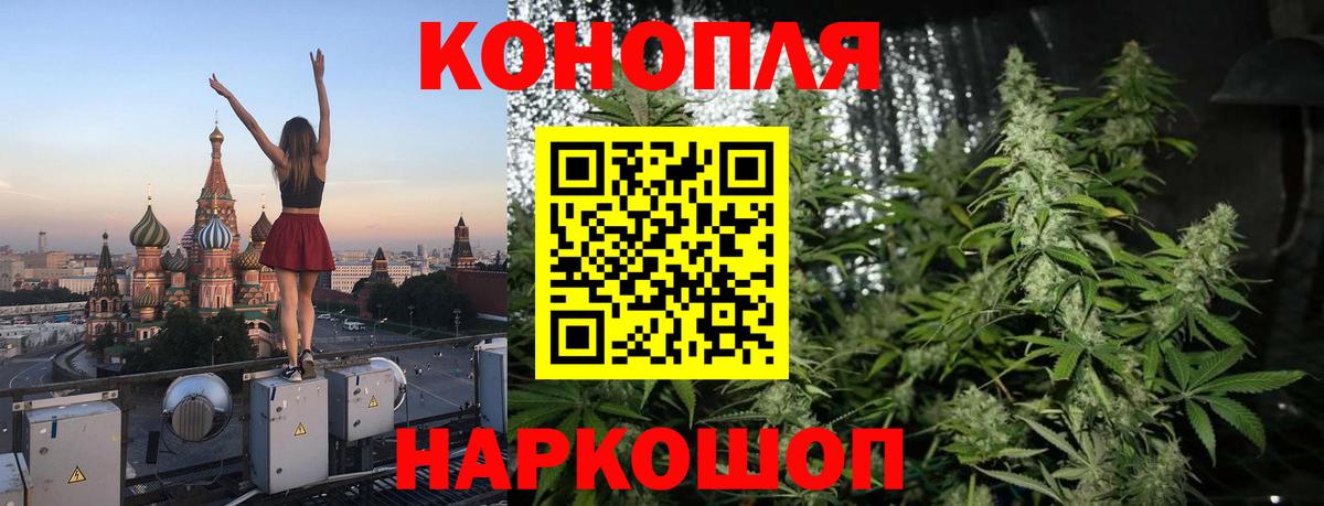 Бошки марихуана OG Kush Урай